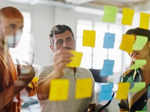 Optimise Your Current Processes